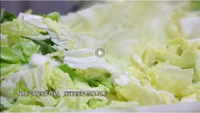精英華唐伙食怎么樣？盤點(diǎn)舌尖上的美食